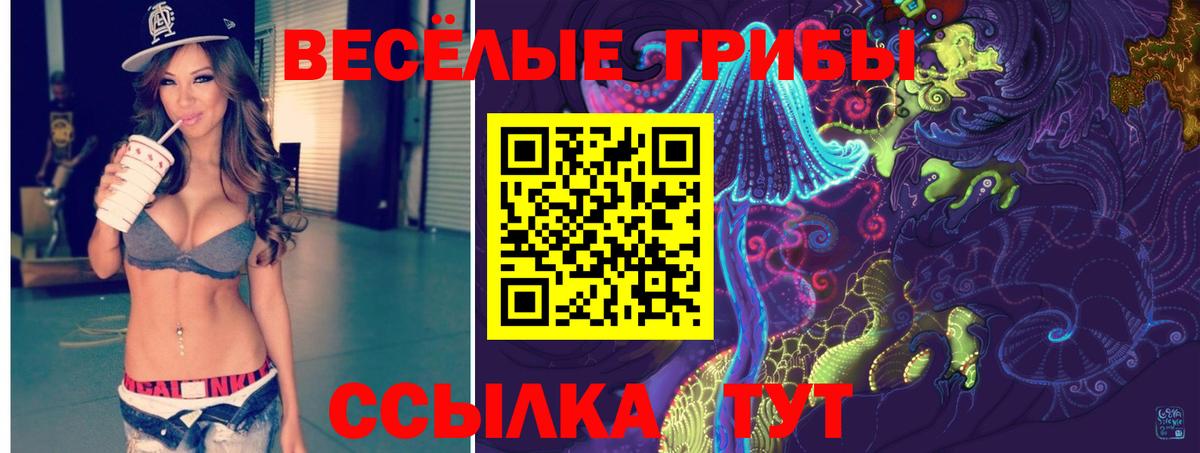 Гусь-Хрустальный  Галлюциногенные грибы мухоморы  Вход с VPN 